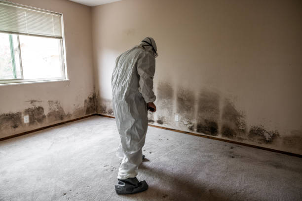 Best Biohazard Mold Removal  in Seward, NE